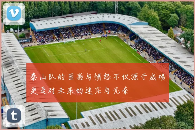 泰山队的困惑与愤怒不仅源于成绩更是对未来的迷茫与无奈