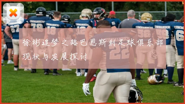 徐彬追梦之路巴恩斯利足球俱乐部现状与发展探讨